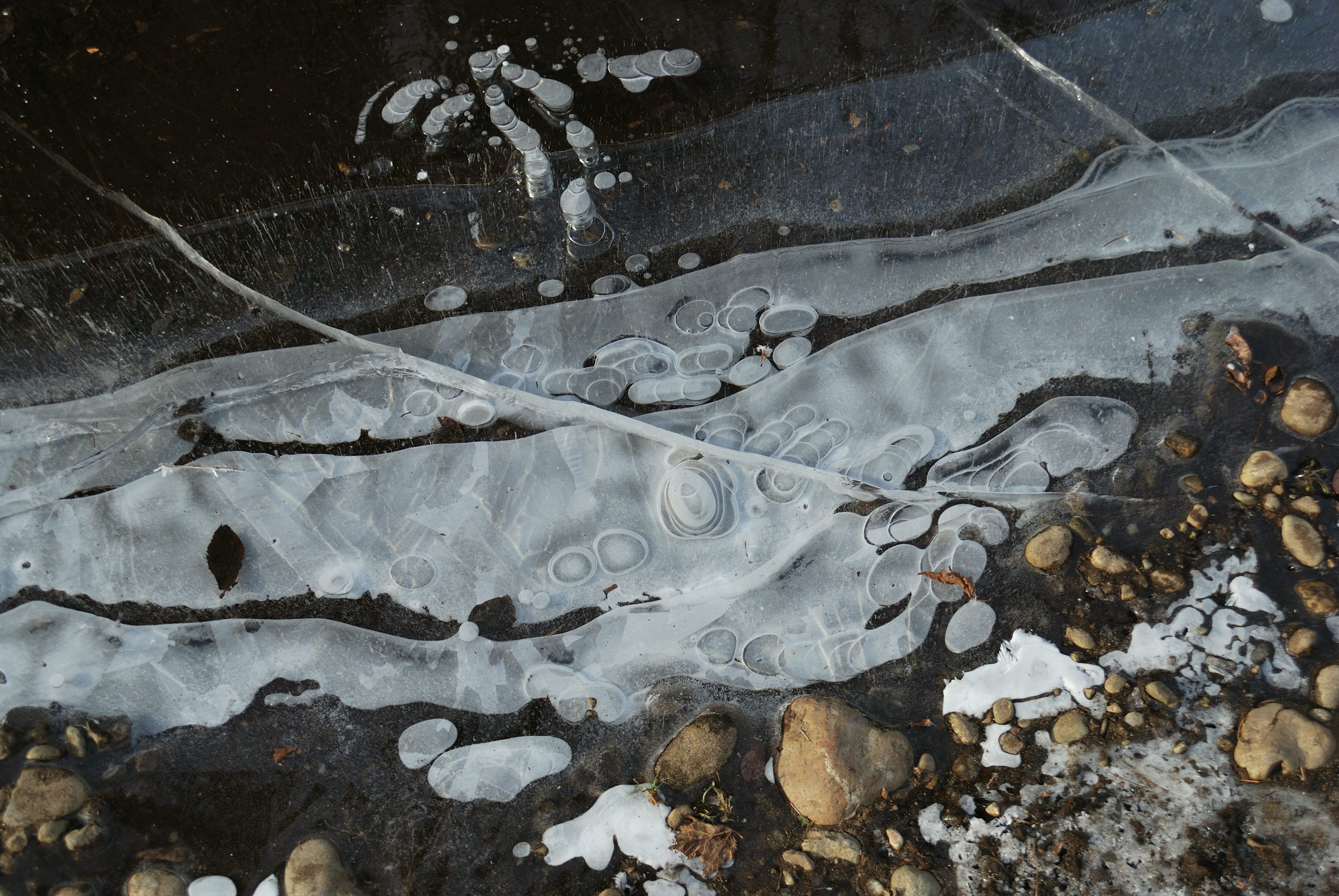 Cheyenne Swenson: The Latest Leak Revealed