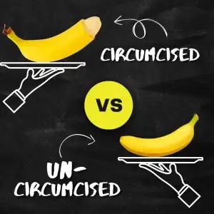Circumcised Vs Uncircumcised Diagram How To Care For An Unci