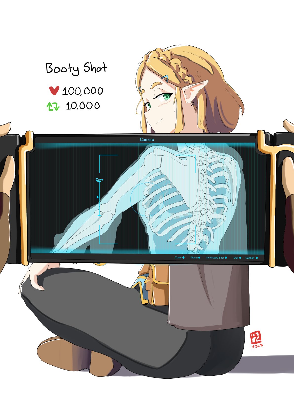 3 Ways to Experience Zelda Erotica